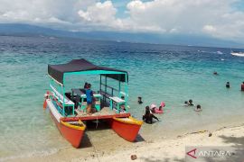 Melihat keindahan biota laut di Pantai Tanjung Karang Sulteng