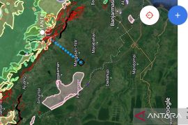 Sun bears coming down from Meratus: BKSDA