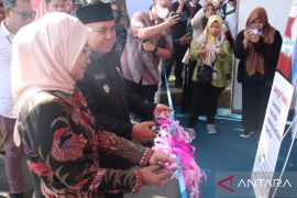 Molen: Job Fair kedua di Pangkalpinang, ciptakan multiplier effect bagi perekonomian