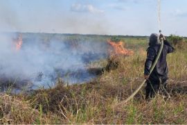 BPBD : Beberapa kecamatan di HSS berpotensi karhutla