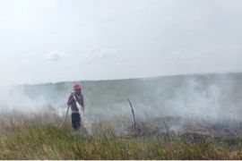 Puluhan hektare di tiga kecamatan HSS terdampak karhutla