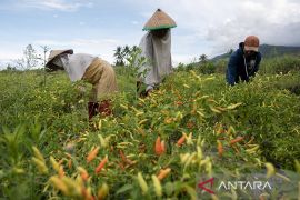 NTP Sulteng periode Juni 2023 naik 2,22 persen Page 2 Small