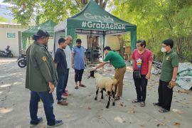 Idul Adha, Grab salurkan hewan kurban ke masyarakat