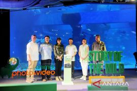 Taman Safari gelar lomba foto-video sasar kepedulian warga kepada satwa