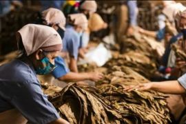 Asosiasi Tembakau soroti pasal 156 RUU Kesehatan berpotensi lemahkan industri