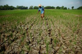 Govt to anticipate drought through clean, drinking water provision