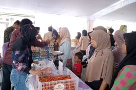 Harga cabai dan daging ayam di Mataram turun