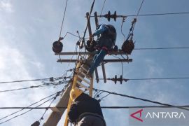 PLN siagakan 39 personel pelayanan gangguan saat bencana alam di Kolaka