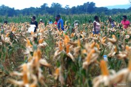 Lemkapi minta seluruh kapolda membantu swasembada pangan