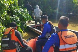 Basarnas bentuk 3 tim mencari pria hilang diduga diterkam buaya