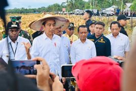 Jokowi dijadwalkan temui pelajar dan resmikan Papua Street Carnival