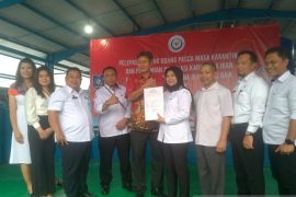 BKIPM Pangkalpinang menerbitkan sertifikat grade A benur udang