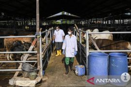 Perumda Dharma Jaya akselerasi digitalisasi untuk informasi dan produk