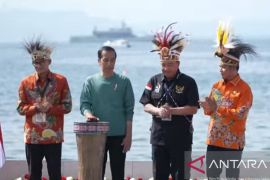 Kondisi Presiden Jokowi baik-baik saja pascagempa di Jayapura Papua