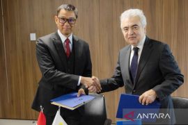 Matangkan Skema JETP, PLN Gandeng IEA Jalankan Roadmap Transisi Energi