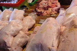 Harga daging ayam potong lokal Jayapura naik hingga Rp15.000/ekor