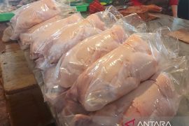 Aprindo Papua sebut pasar ritel alami kenaikan harga daging ayam
