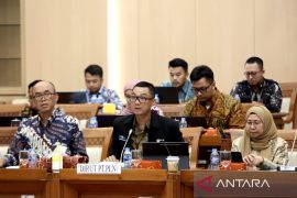 Pengembangan "Smart Meter" AMI oleh PLN dapat dukungan Komisi VII DPR