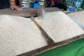 Harga beras di Bandarlampung naik tipis