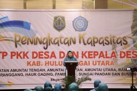 Ratusan Tim Penggerak PKK Desa di Kalsel tingkatkan kapasitas kemampuan