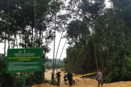 BBKSDA Papua minta pemangku kepentingan komitmen melindungi hutan