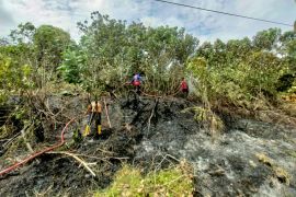 BPBD Kabupaten PPU berhasil  padamkan karhutla