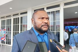 Fraksi Otsus sarankan pemda susun perda pajak karbon Papua Barat