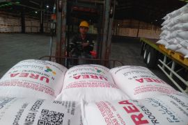 Penyerapan pupuk bersubsidi di Karawang di atas 50 persen