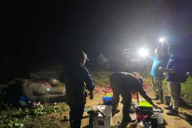 Diduga diracun, gajah jantan ditemukan mati di Pelalawan
