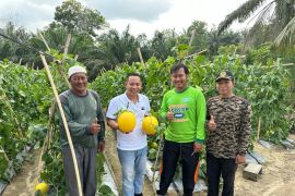 Ketua DPRD Siak terima aspirasi dan keluhan petani di Kandis