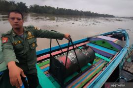 BKSDA pasang perangkap beruang madu