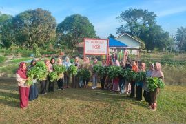 Dukung SDG's, PTPN V Sei Rokan kembali aktifkan Taman Gizi