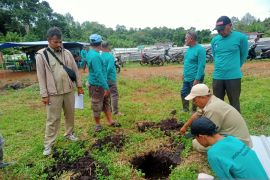 DKPP Belitung melatih petani budi dayabawang merah