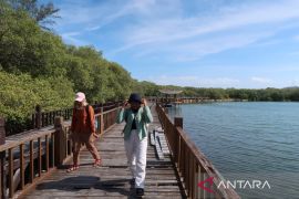 Bappenas jamin keseimbangan ekonomi dan ekologi dalam konservasi laut