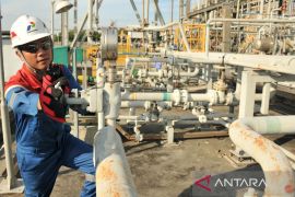 PGN Saka terapkan program dekarbonisasi dalam operasional dukung target nol emisi