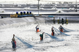 Pemkab Aceh Jaya rencanakan pengembangan kawasan ekonomi hijau dan biru