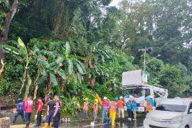 PLN UP3 Ambon  pulihkan suplai listrik akibat cuaca ekstrem