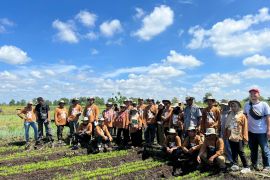 BRGM gelar program Sekolah Lapangan Petani Gambut di Kubu Raya