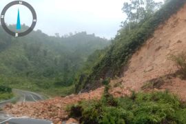 BPBD Pesisir Selatan bersihkan jalan nasional Painan-Kota Padang