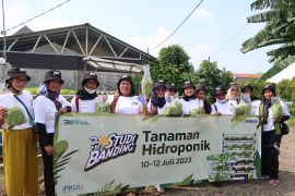 PNM Fasilitasi Studi Banding Untuk Kembangkan Kapasitas Usaha Nasabah
