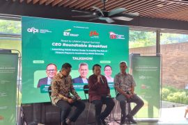 Pembiayaan UMKM masih terpusat di Jawa-Bali