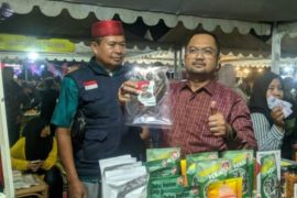 Diskoperindag Sulbar janjikan bantuan UMKM kepada pelaku usaha asap ikan