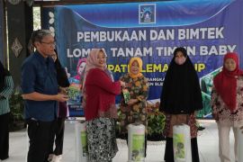 Pemkab Sleman gelar lomba tanam "timun baby" bagi kelompok wanita tani