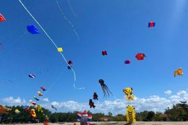 PLN dukung pelaksanaan Bali Internasional Kite Festival