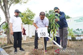 BPOM di Gorontalo turut jaga lingkungan dengan lakukan penanaman tanaman obat