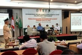 Peremajaan kelapa sawit di Manokwari dilakukan bertahap