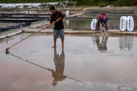 Ekonom nilai pemetaan kebutuhan dukung pengurangan impor garam