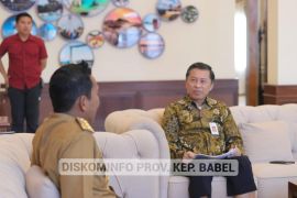 Pj Gubernur Suganda audiensi dengan Kepala OJK Sumbagsel