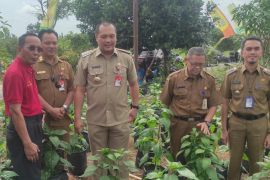 Wali Kota semangati anggota KTNA majukan pertanian di Banjarbaru
