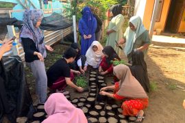 KKN Unram ajar penanaman tanaman holtikultura di Sumbawa Barat